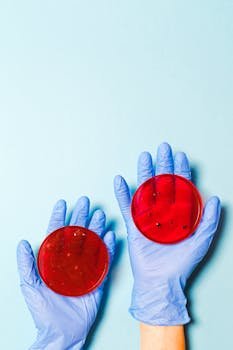 pexels-photo-3786211-3786211 Close-up of hands in gloves holding petri dishes with red agar for research.